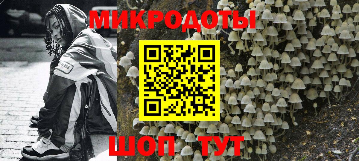Галлюциногенные грибы Psilocybine cubensis  Вход с VPN  Псилоцибиновые грибы ЛСД  Богородицк 